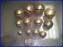 12-Graduating Antique Acorn Brass Sleigh Bells with Buckle/ #15 Down to #2