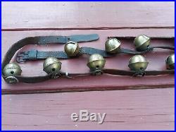 17 Vtg/Antique Large PETAL Shank Type BRASS SLEIGH BELLS, 8ft. Belt, 1800's NICE