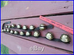 17 Vtg/Antique Large PETAL Shank Type BRASS SLEIGH BELLS, 8ft. Belt, 1800's NICE