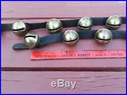 17 Vtg/Antique Large PETAL Shank Type BRASS SLEIGH BELLS, 8ft. Belt, 1800's NICE