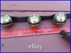 17 Vtg/Antique Large PETAL Shank Type BRASS SLEIGH BELLS, 8ft. Belt, 1800's NICE