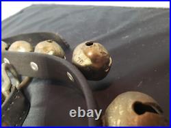 31 Count 1 Sleigh/Harness Solid Brass Bells withLeather Strap 1876 & 78 Pat