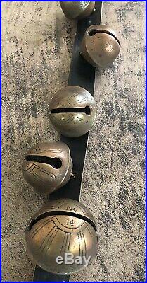 91 Leather Belt W 25 Primitive Antique Graduated Petal Style Brass Sleigh Bells