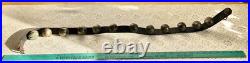 Antique 12 Crotal Bells On 40 Leather Strap all original