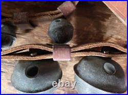 Antique 19 Graduated Brass Petal Sleigh BELLS 90 Double Leather Strap c. 1880s