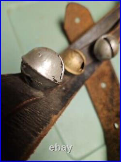 Antique Sleigh Bells on 55 inch Heavy Leather Belt 12 Brass 1 3/4 in Petal Bells