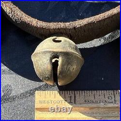 Antique Worn Leather Horse Strap with 23 #2 Decorated Brass Sleigh Bells