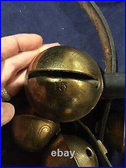 Brass Sleigh BellsGraduated Sizes #8-15 Petal Bells77Belt17 Bells (Not Dog)