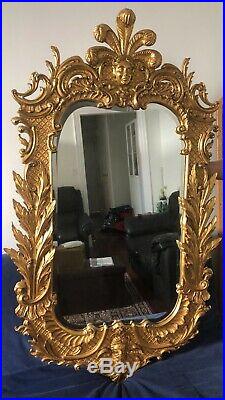 Carvers Guild Carved Gilt Wood French Style Wall Mirror Belle Jardin Model 1046