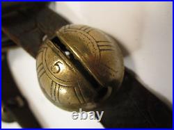 Complete Set 17 Graduated Antique Brass Petal Sleigh Bells 70 Leather Strap