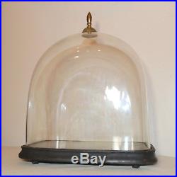 LARGE antique cloche dome glass wood brass display bell jar case stand rareshape