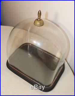 LARGE antique cloche dome glass wood brass display bell jar case stand rareshape